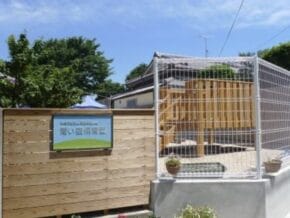 Screenshot | 保育士求人|大阪・兵庫・関西の保育士・幼稚園教諭の就職転職支援|保育のせかい