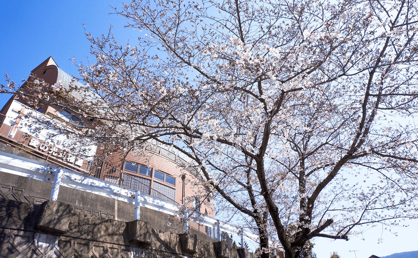 mv_img03 | 保育士求人|大阪・兵庫・関西の保育士・幼稚園教諭の就職転職支援|保育のせかい